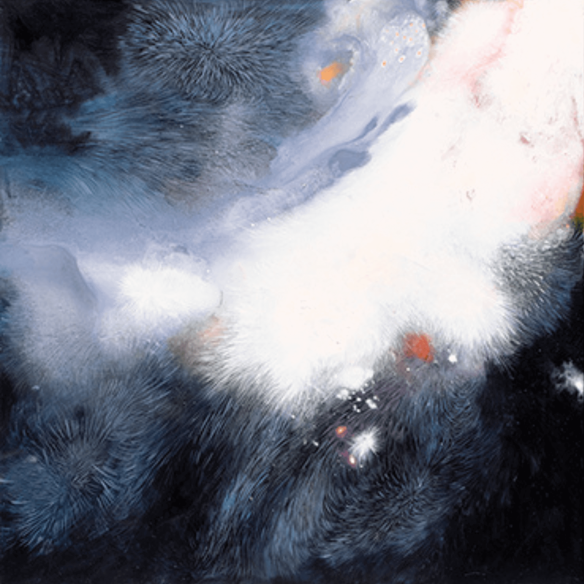 Abstract cosmic art with swirling dark and light patterns, resembling a galaxy with hints of orange and pink.