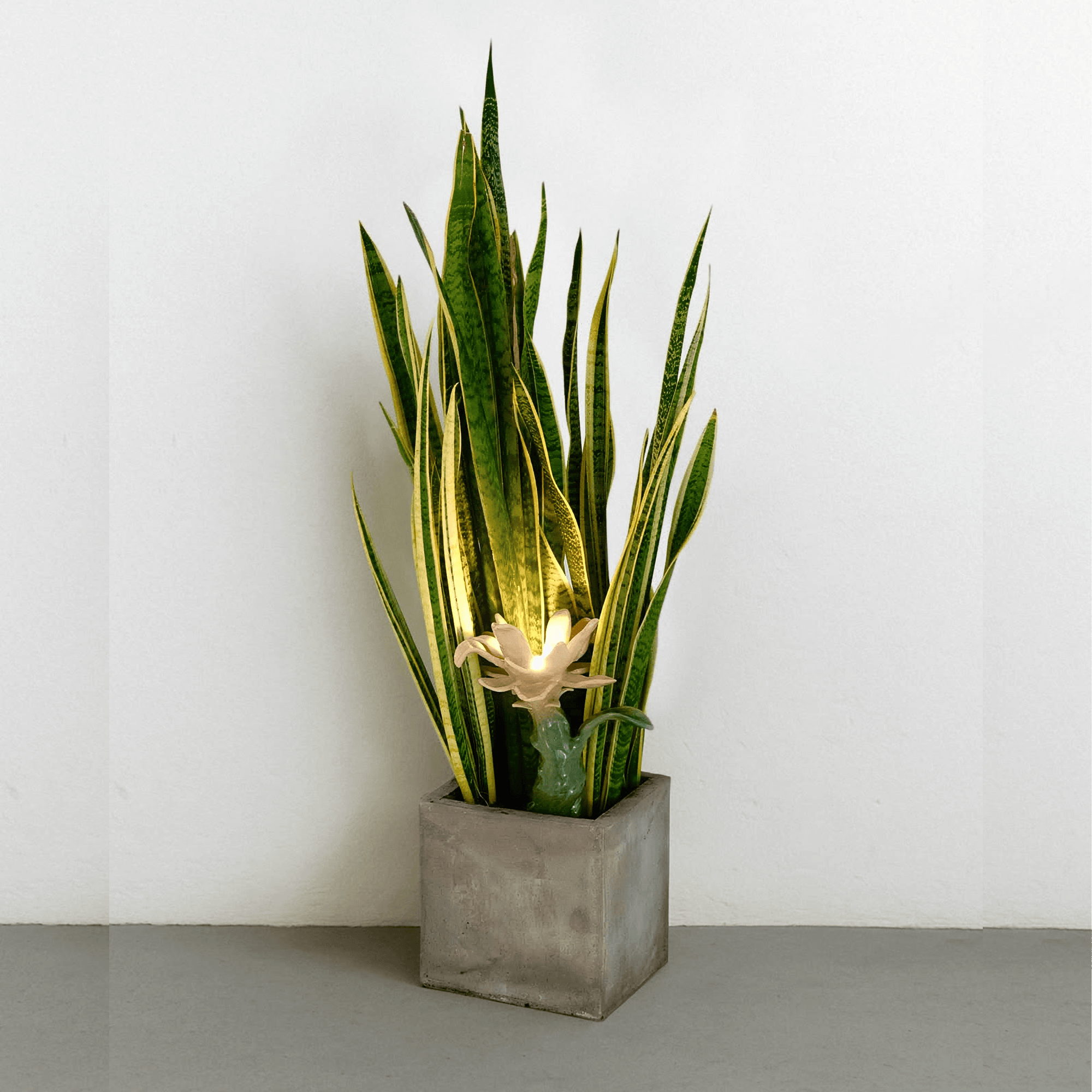 Abstract ceramic light sculpture surrounded by snake plant in modern concrete pot, showcasing organic design.