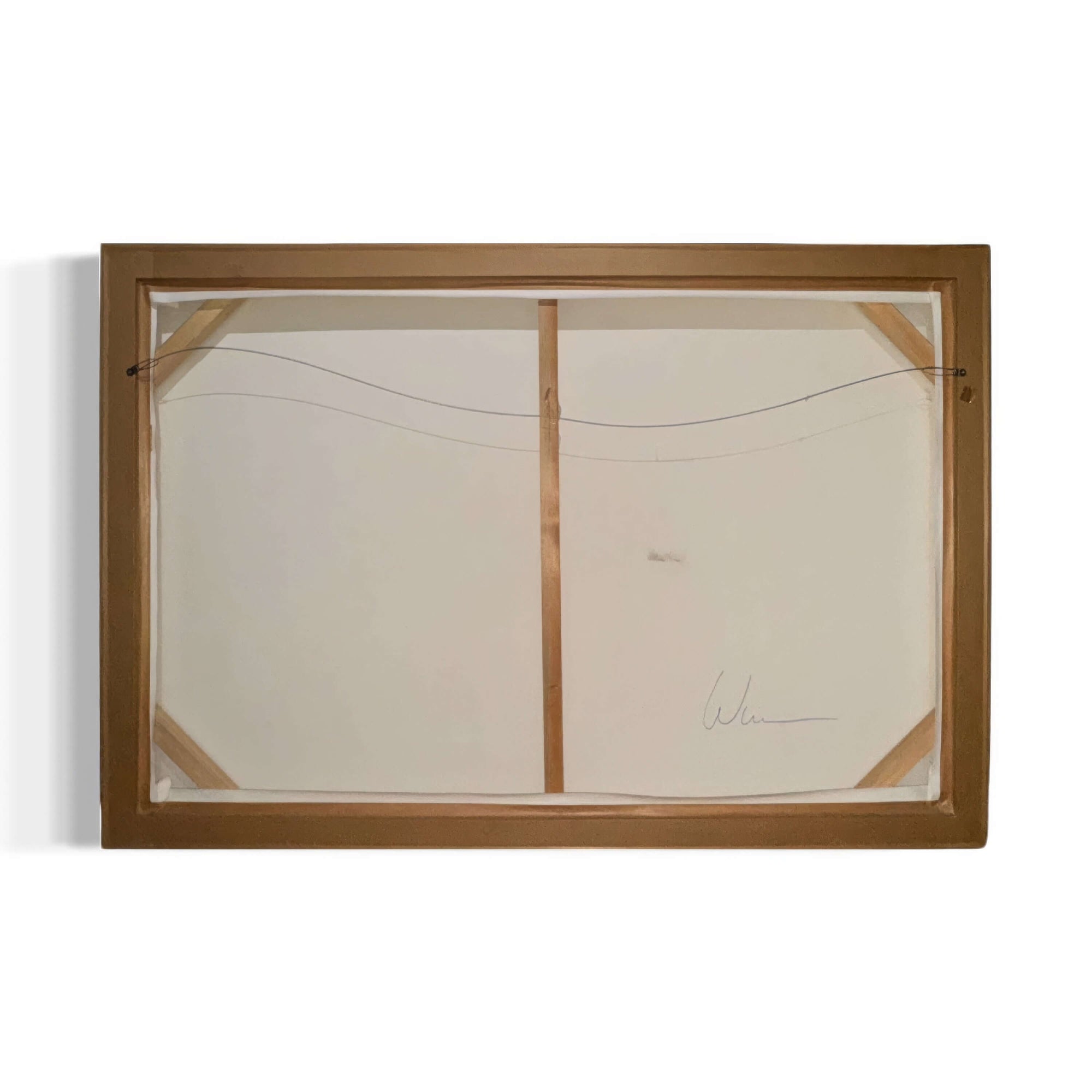 Back view of Swathe of Confusion artwork by Bryce Watanasoponwong, featuring framing and signature details.