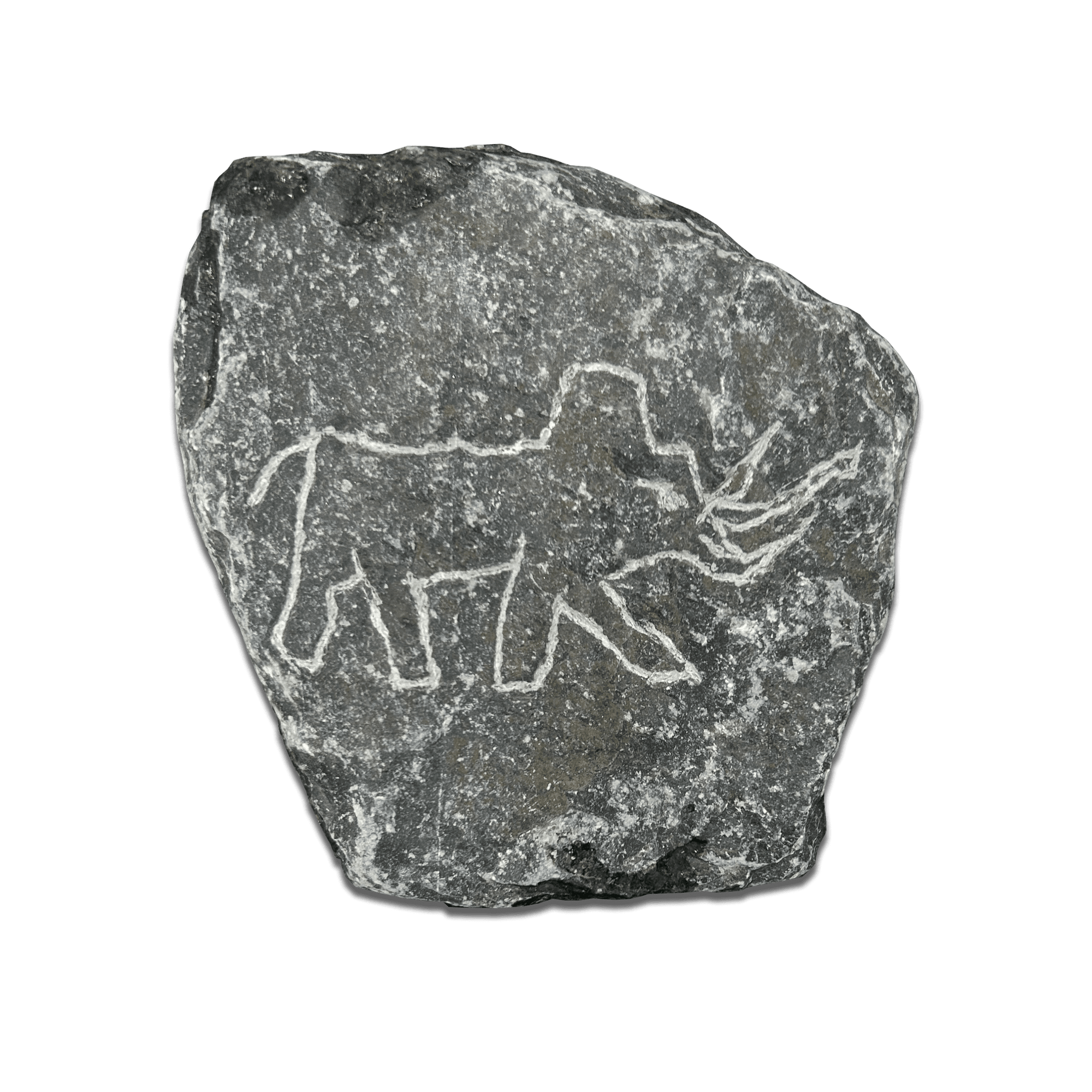 Ancient stone carving of a mammoth, depicting its majestic figure etched into the rock surface.