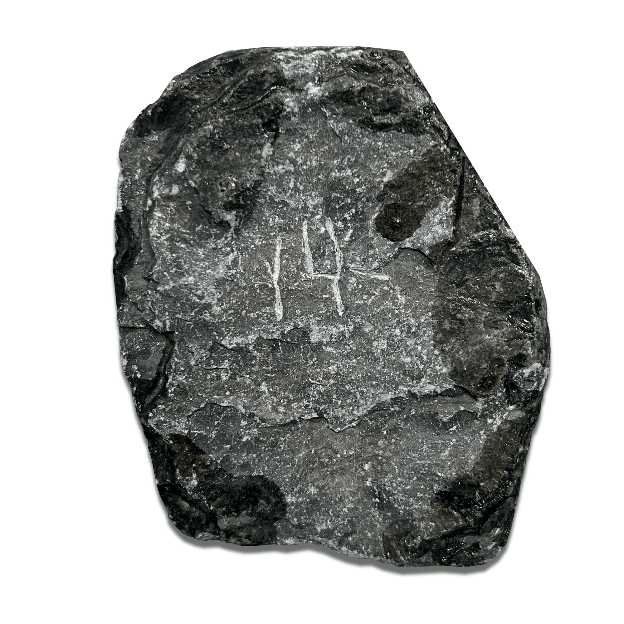 Close-up of a textured stone with a carved inscription, showcasing natural mineral patterns.